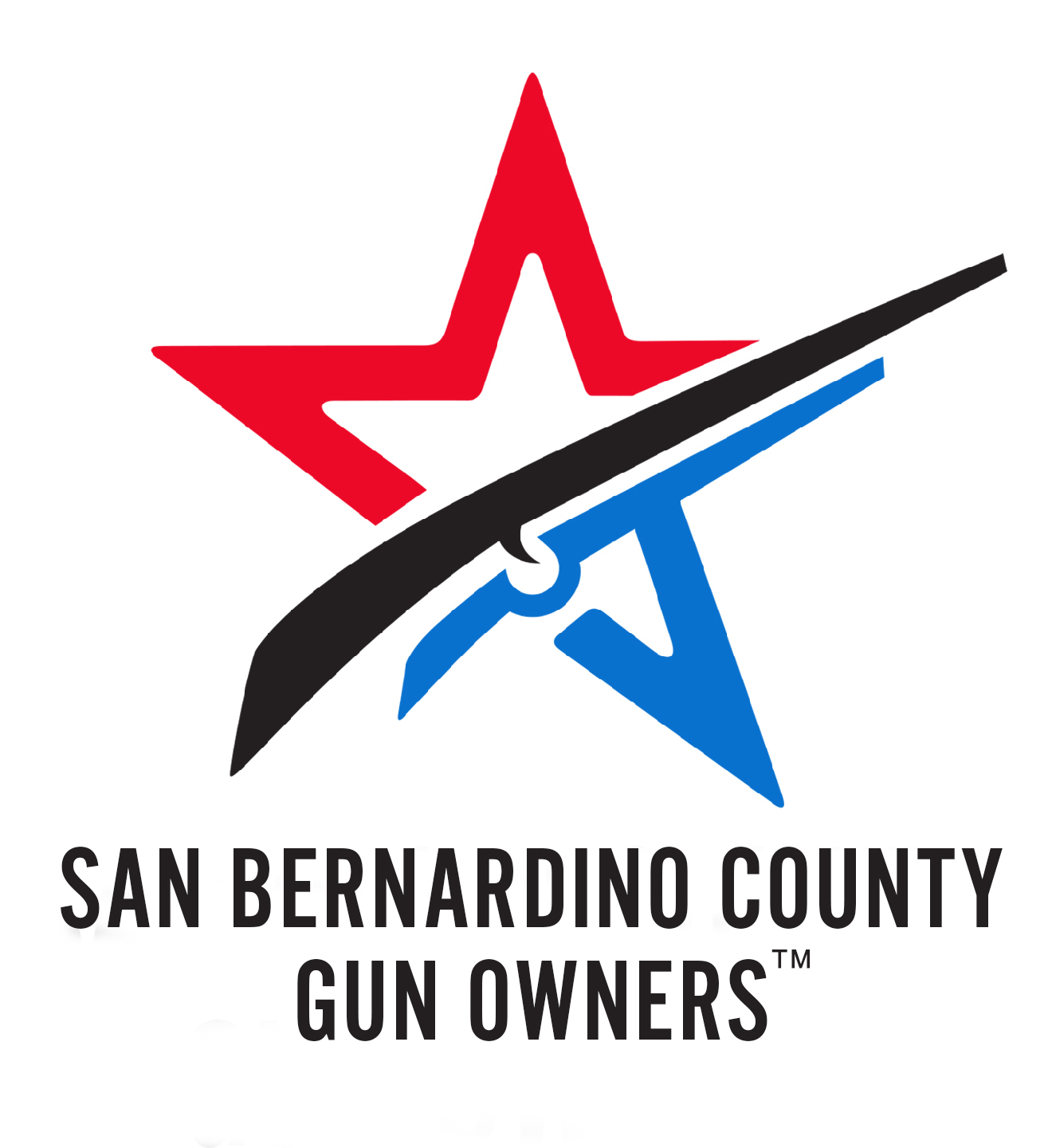 SBCGO Weekly Email 2/9/20: Your Choice-Get Engaged or Just Cry about Losing your Gun Rights?